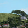 Mt Hobson in Spring