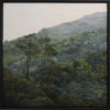 Evergreen III
