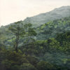 Evergreen III