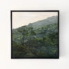 Evergreen III