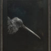 Gareth Barlow Kiwi original painting at Parnell Gallery Auckland NZ