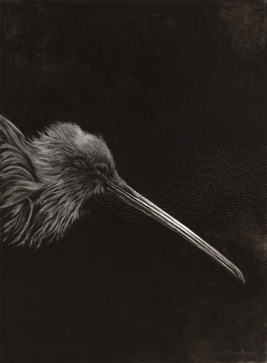 Kiwi