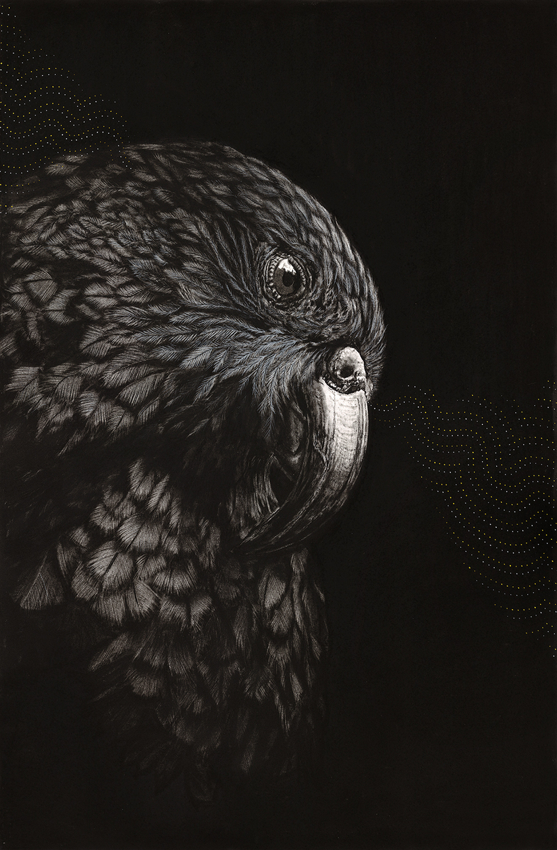 Kea Toru