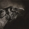 Raven II