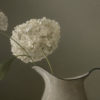 Hydrangeas in Enamel Jug