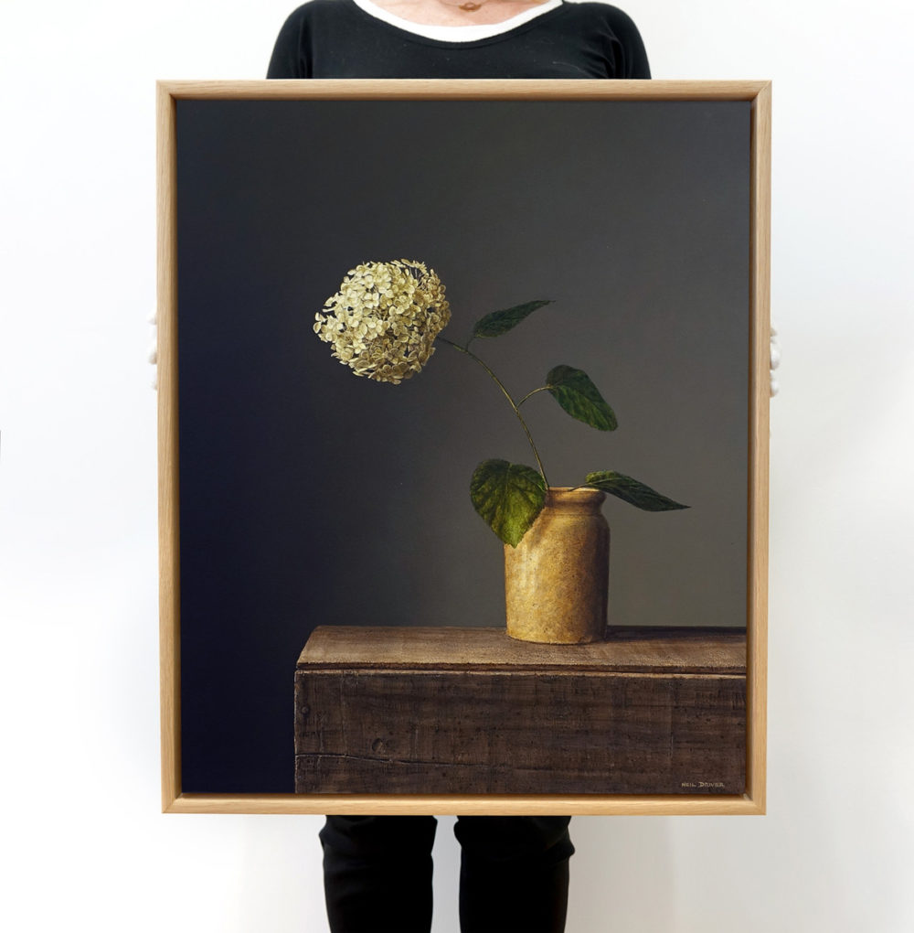 Hydrangea