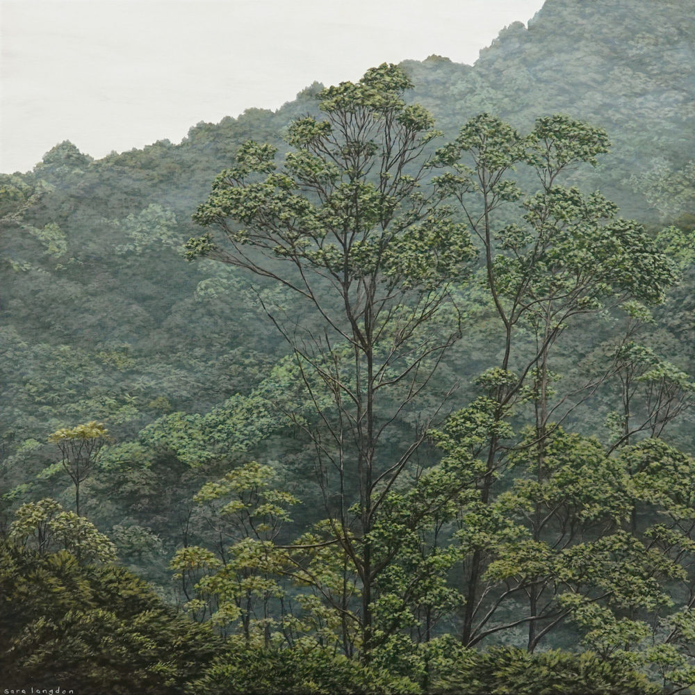 Evergreen IV
