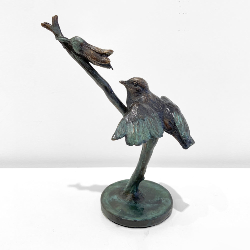 Waxeye with Kōwhai
