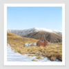 Camp Stream Hut limited edition print by Michelle Bellamy available to purchase from Parnell Gallery