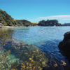 Urupukapuka
