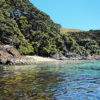Urupukapuka