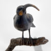 Huia