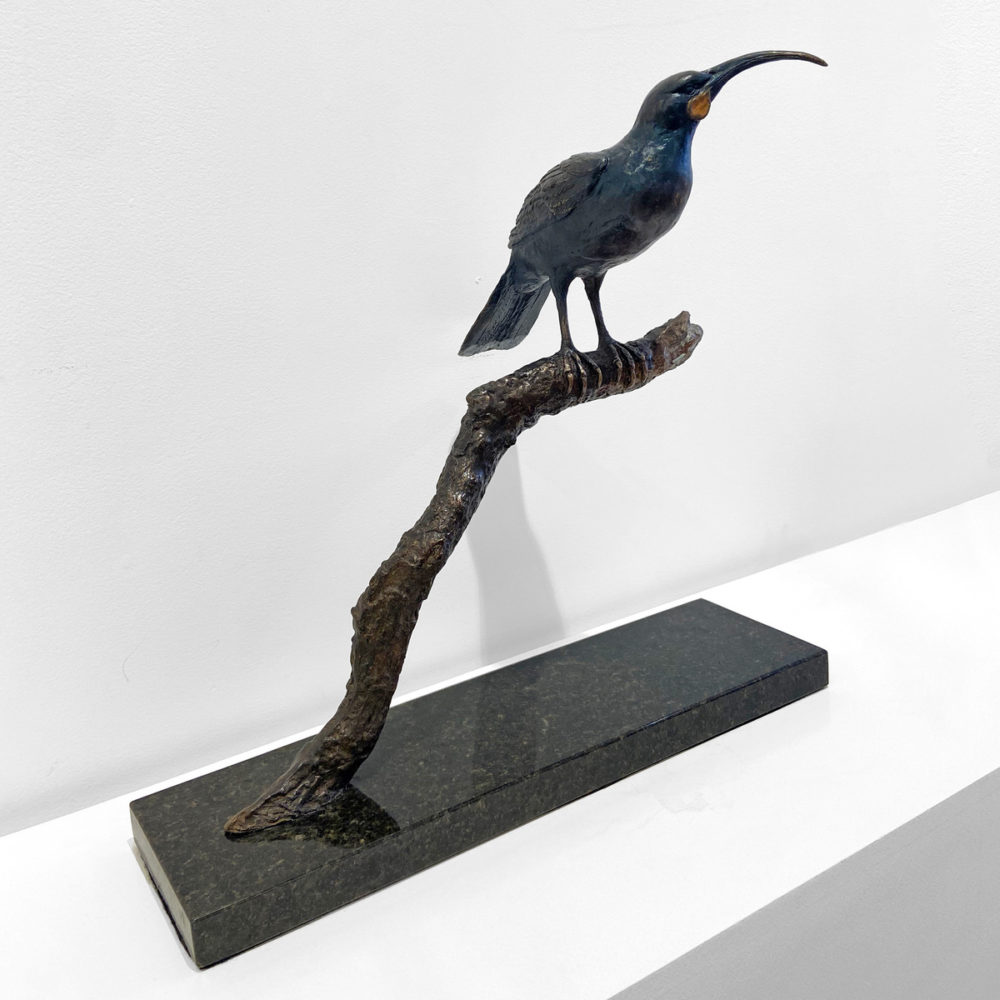 Huia
