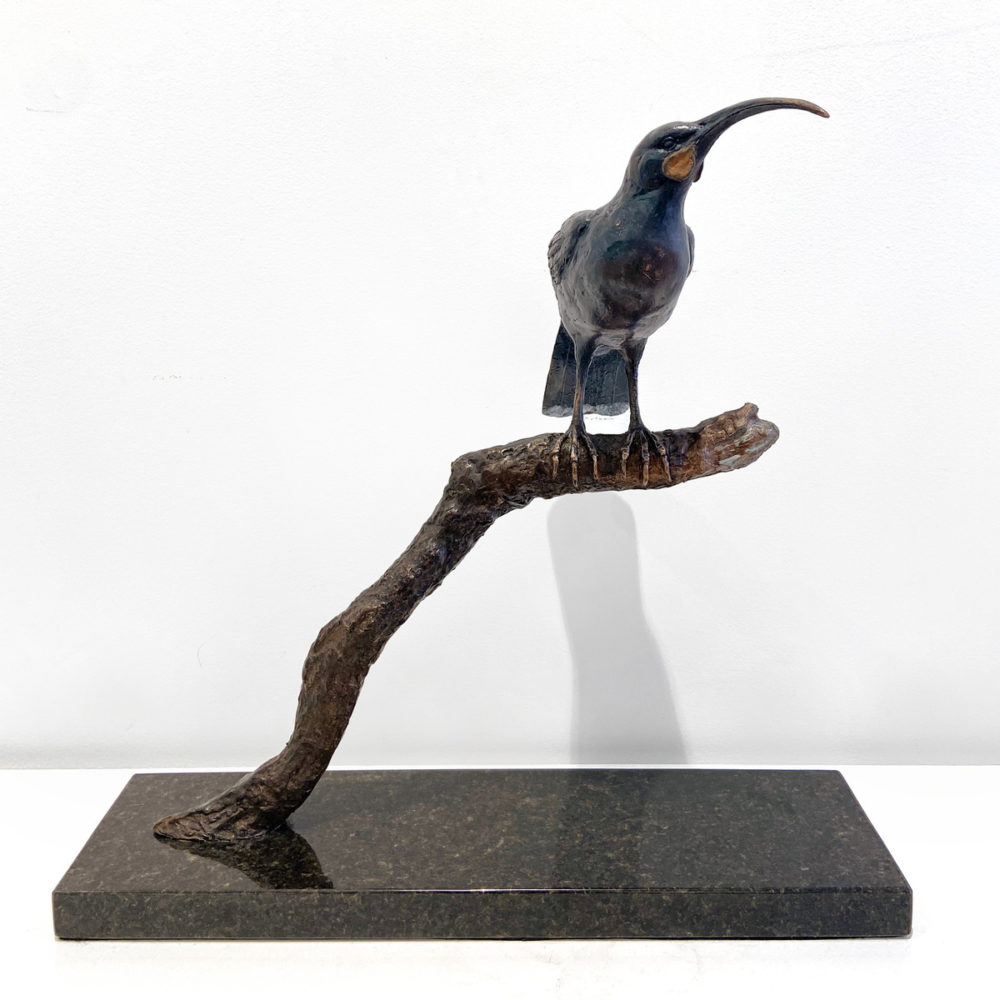 Huia