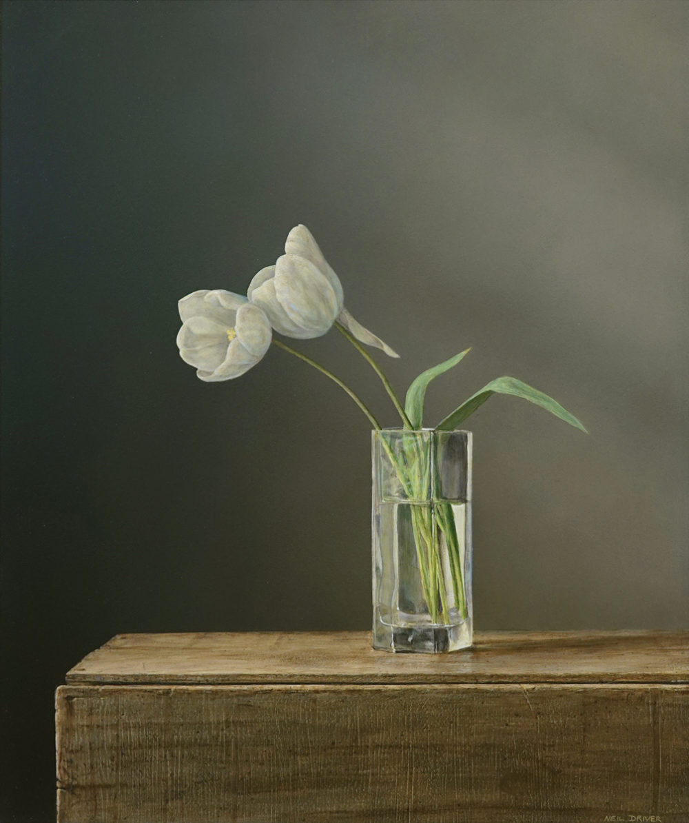Two White Tulips