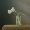 Two White Tulips