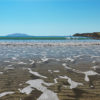 Tawharanui