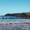 Tawharanui
