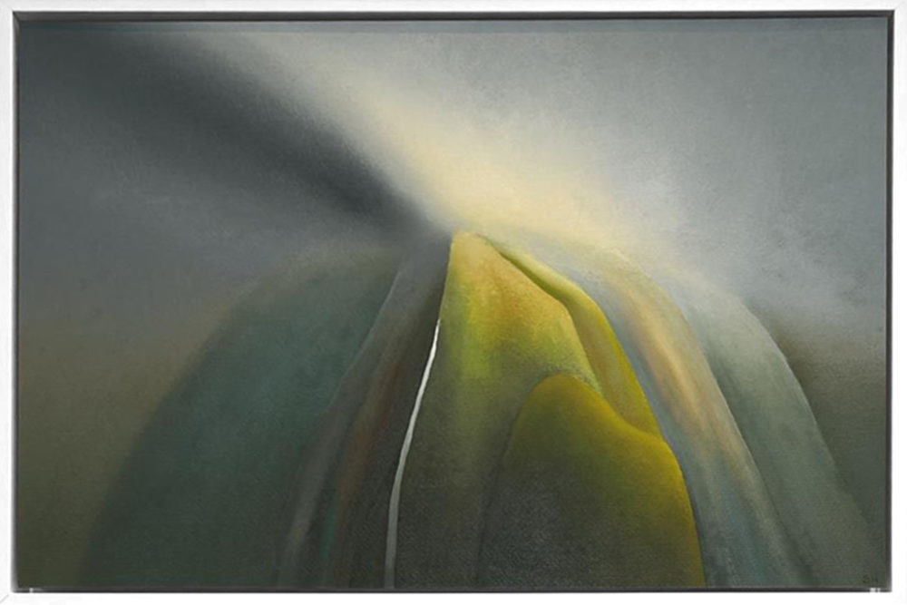 Light Composition Fiordland
