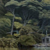 Kawau Kānuka