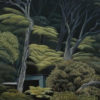 Kawau Kānuka