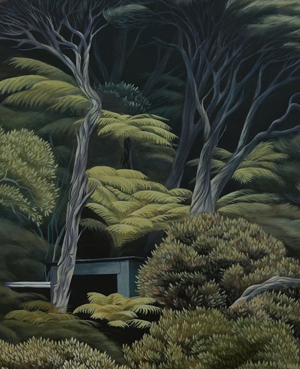 Kawau Kānuka