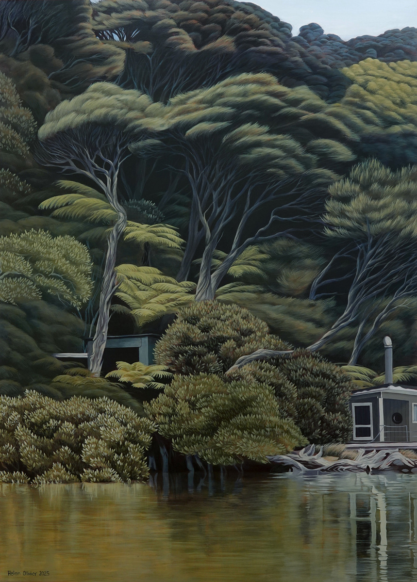 Kawau Kānuka