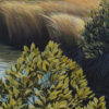 Across the Saltmarsh, Ruakaka