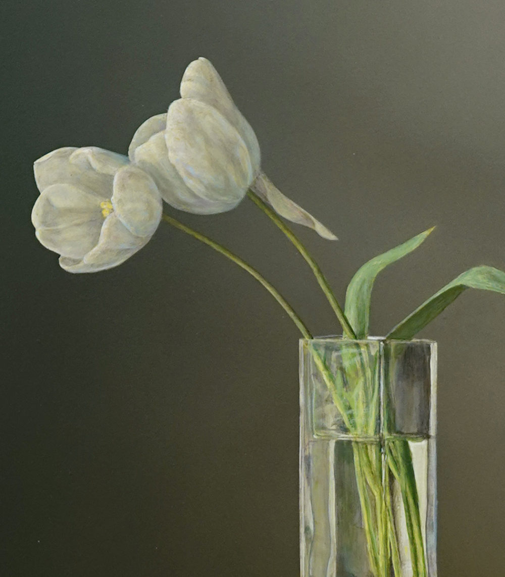 Two White Tulips