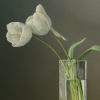 Two White Tulips