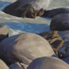 Between the Waves, Maitai Bay