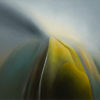 Light Composition Fiordland