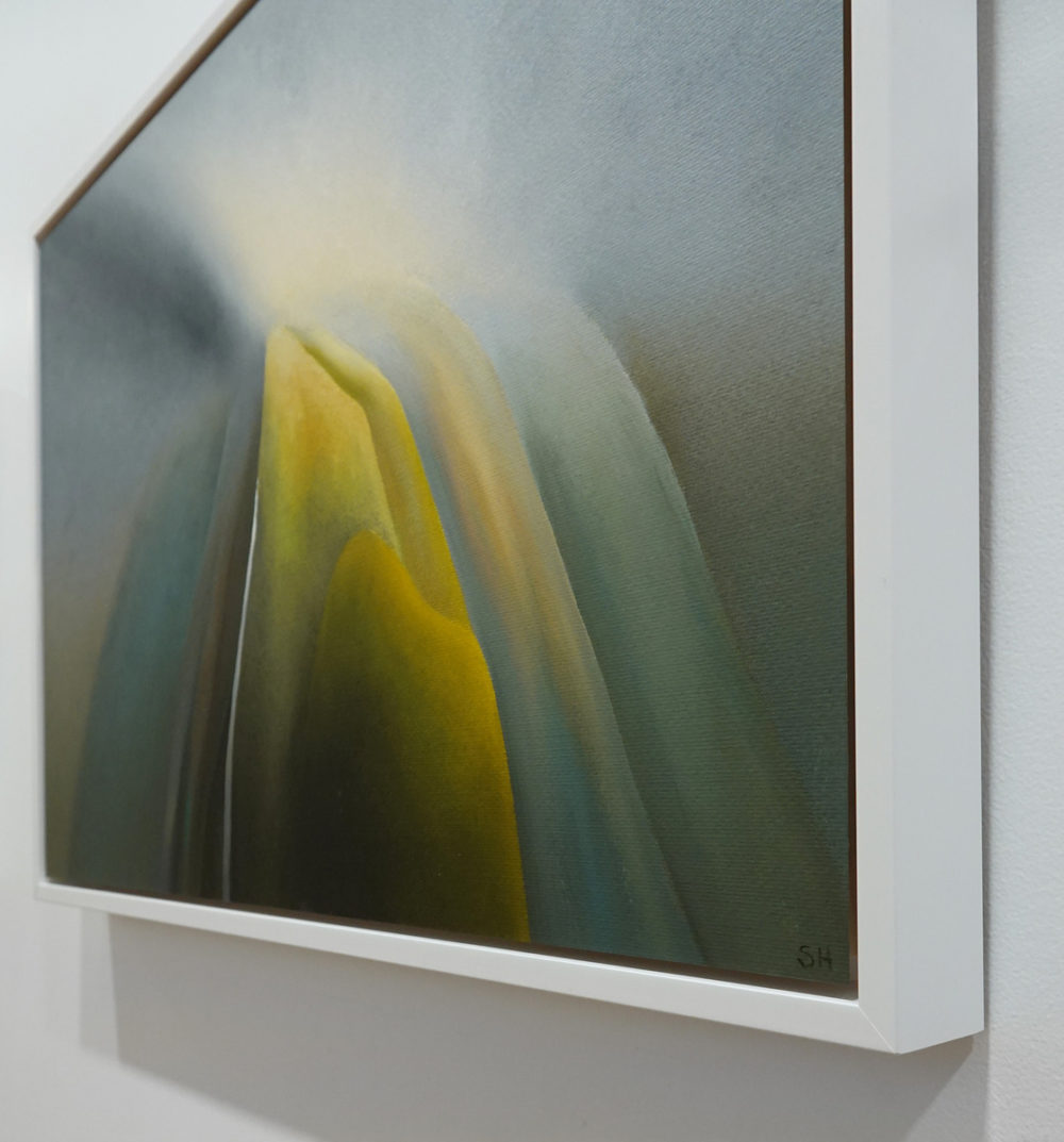 Light Composition Fiordland