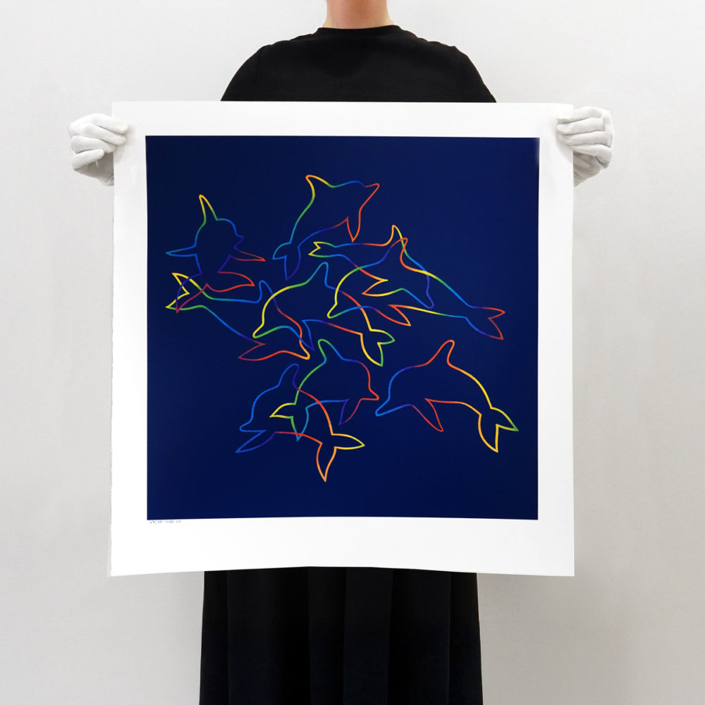 Nine Dolphins