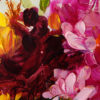 Joy and Blooms