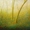 Dancing Light in the Forest