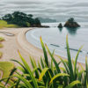 Te Akau (Elliot Bay) Northland