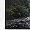 Anini Stream, Te Urewera National Park