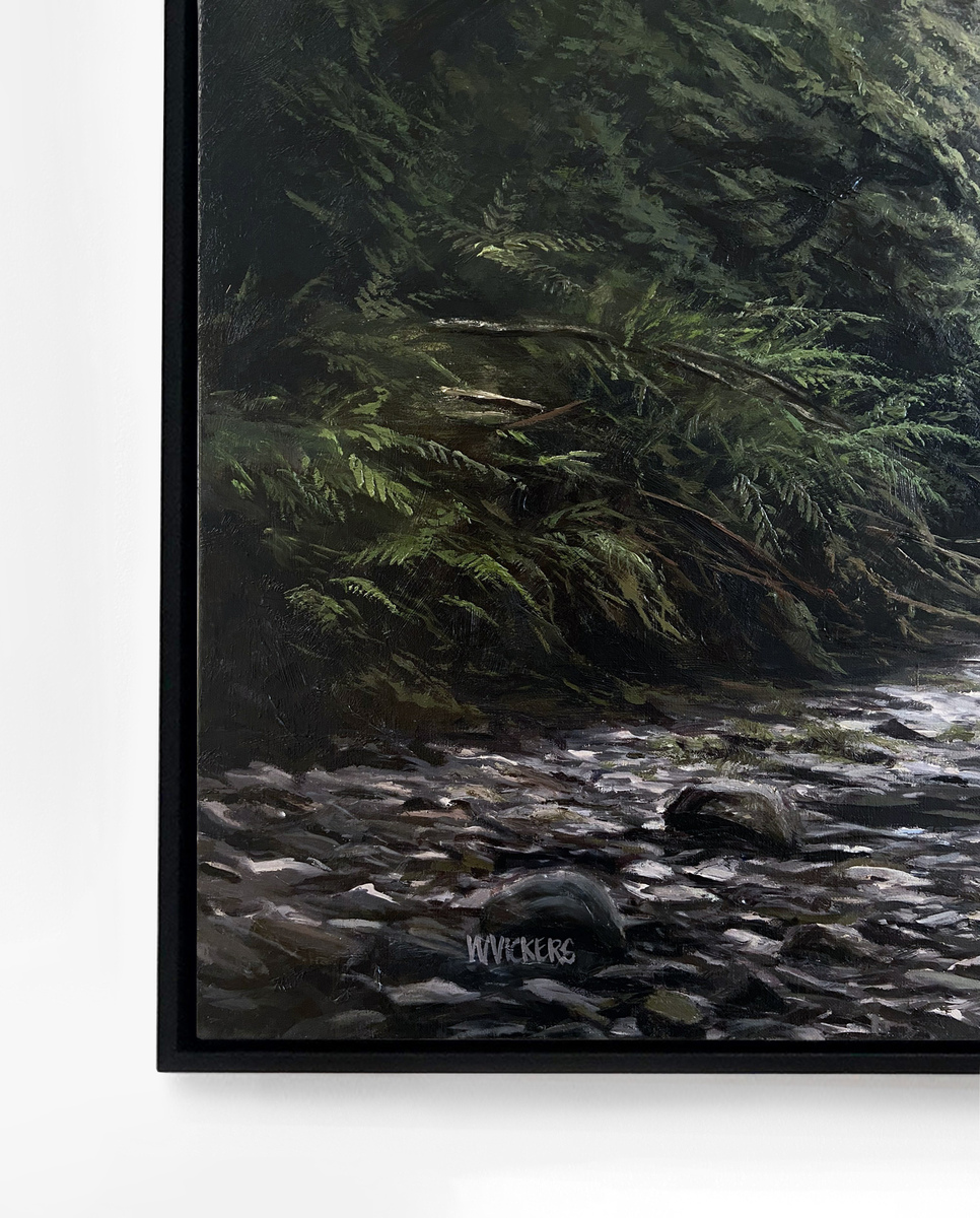 Anini Stream, Te Urewera National Park