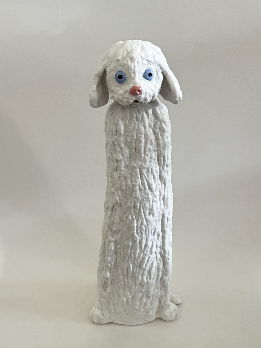 Fluffy White Dog