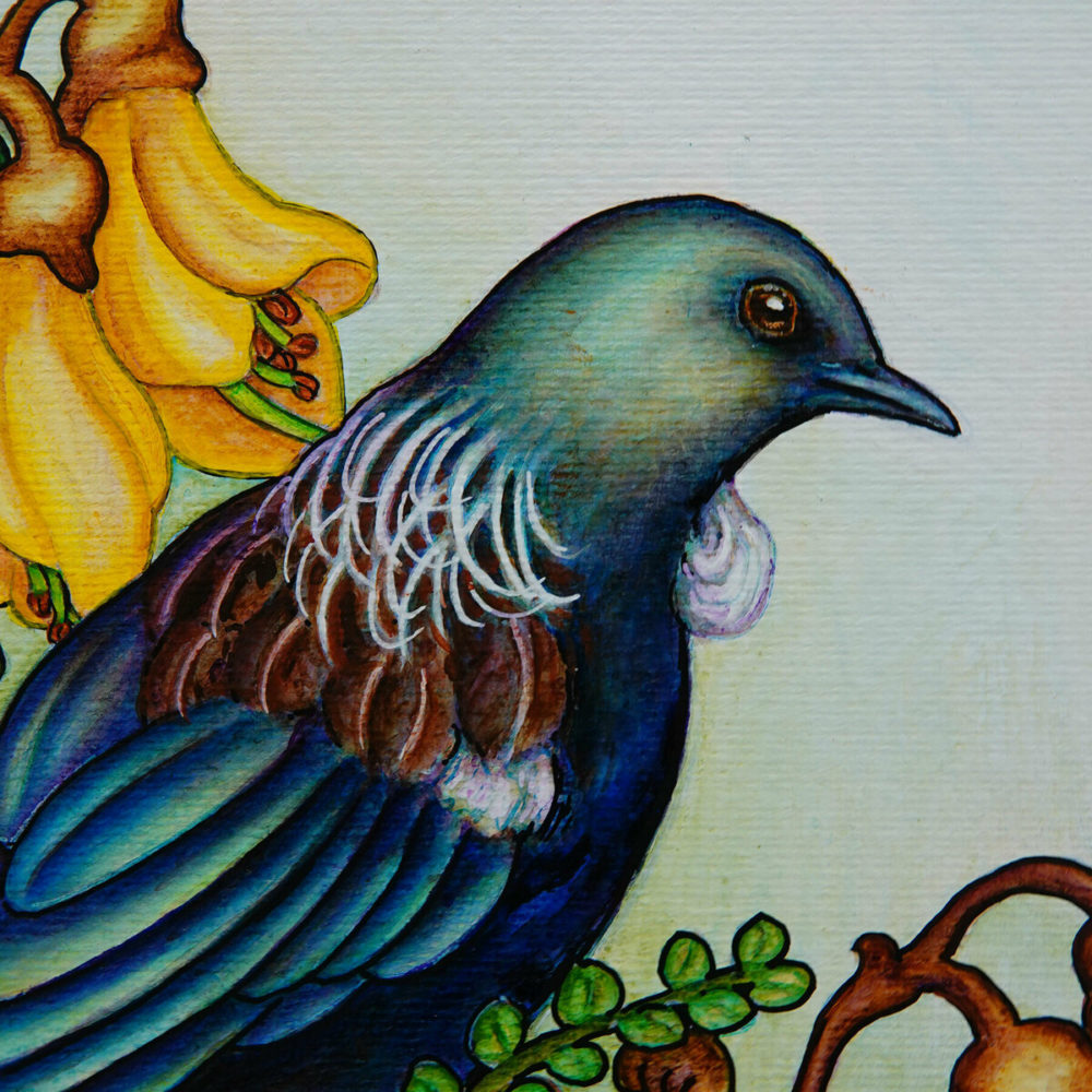 Tui & Kowhai