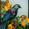 Tui & Kowhai