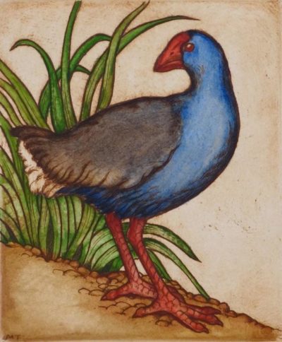 Pukeko