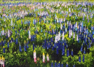 The Honeymooners' Bed