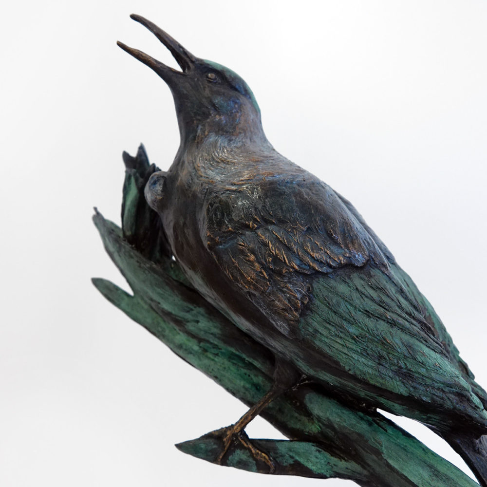 Singing Tui with Flax Flowers