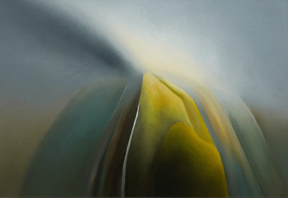 Light Composition Fiordland