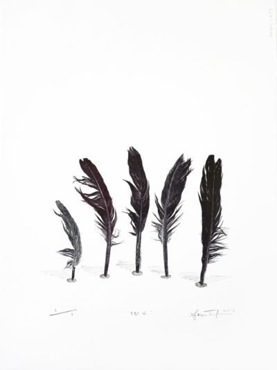 5 Black Feathers, Wakefield