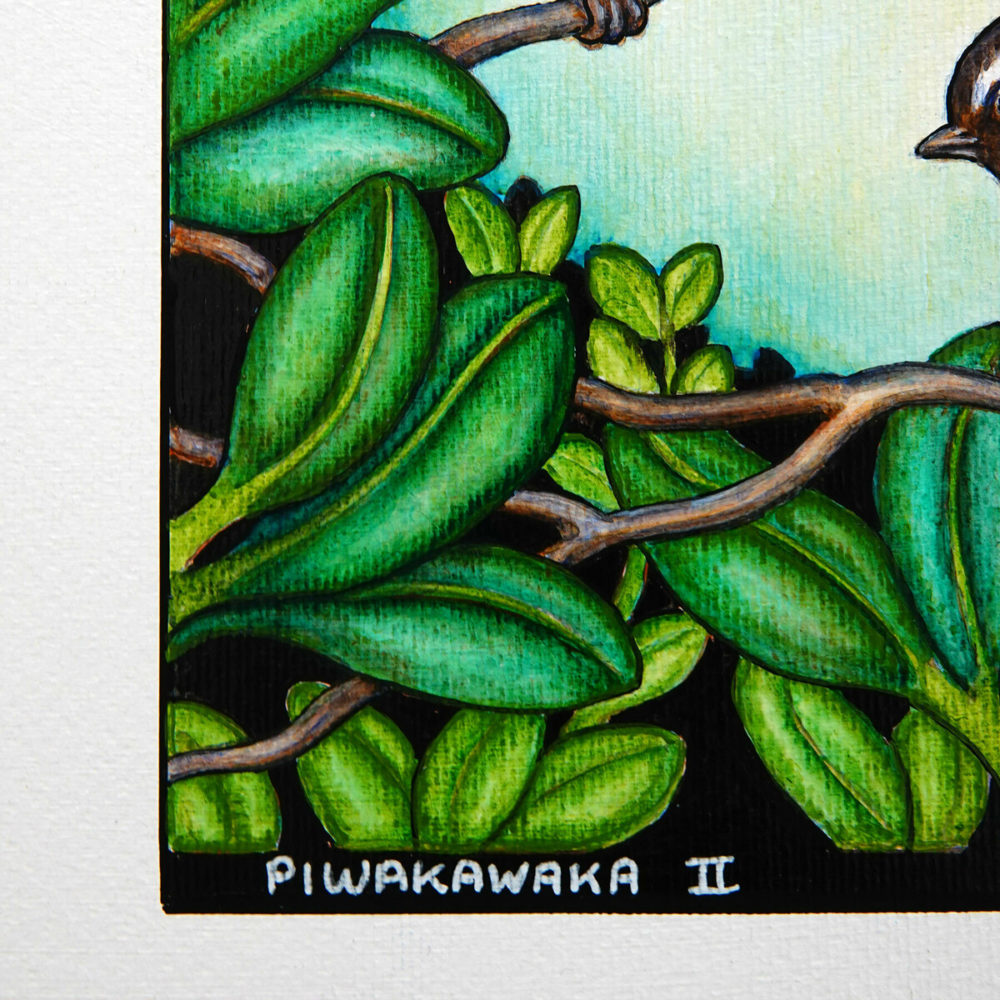 Piwakawaka II