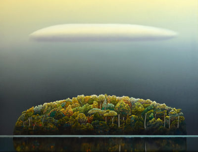 Tree Island on the Lake