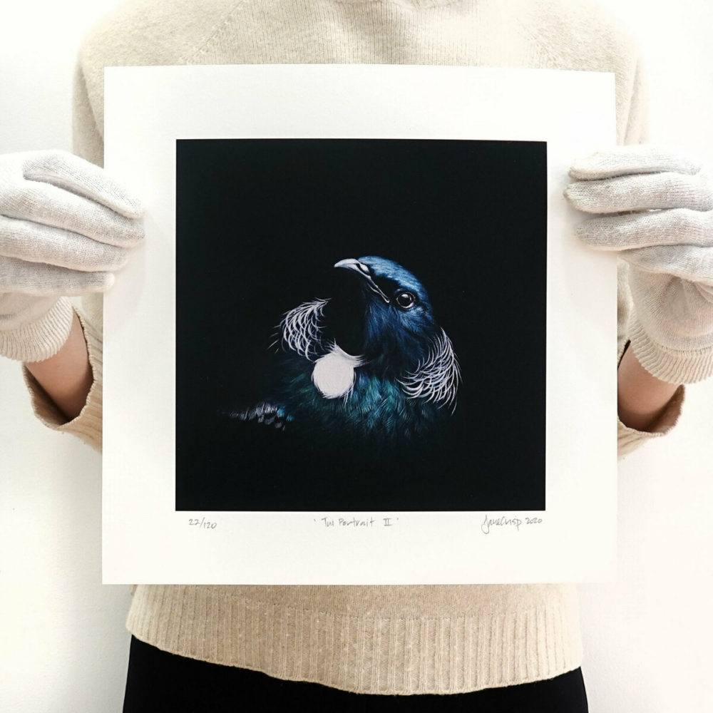 Tui Portrait II